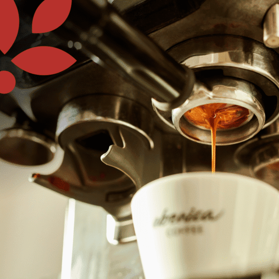 coffee flowing from the machine into the cup